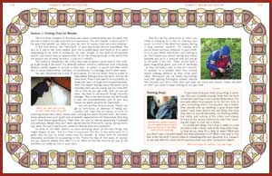 page110to111small.jpg