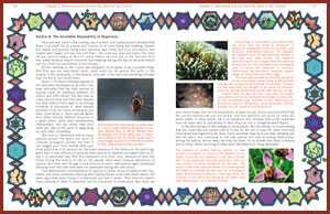 page96-97small.jpg