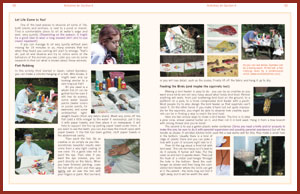 page98-99small.jpg
